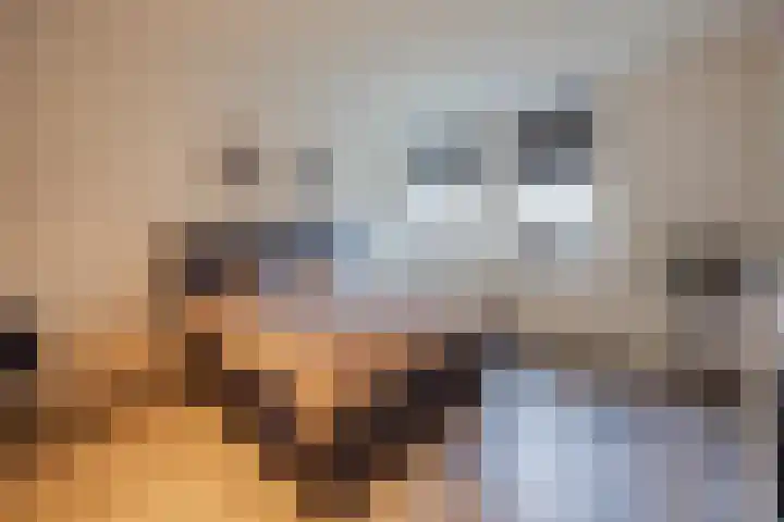 Crommentuijnstraat 12 Meterik thumbnail 19