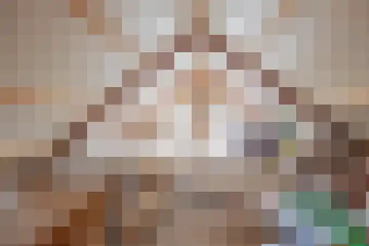 Crommentuijnstraat 12 Meterik thumbnail 34