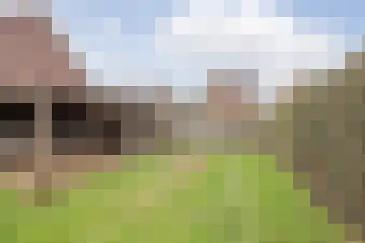 Crommentuijnstraat 12 Meterik thumbnail 44