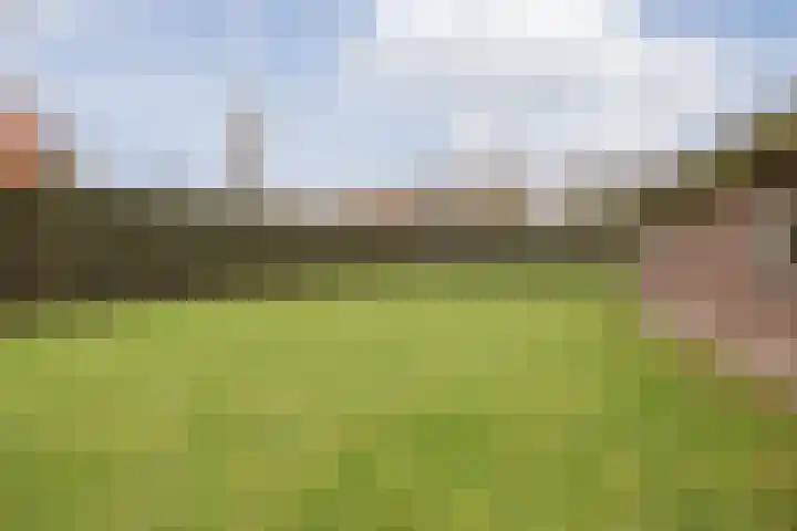 Crommentuijnstraat 12 Meterik thumbnail 46
