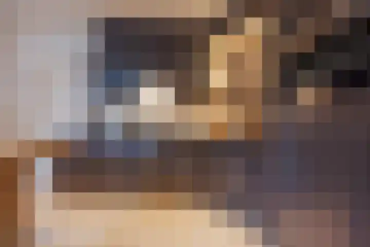 Crommentuijnstraat 12 Meterik thumbnail 5