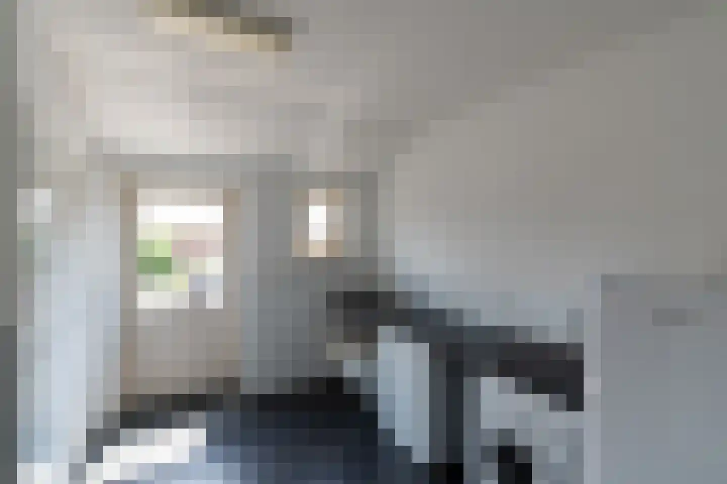 Crommentuijnstraat 51 Meterik thumbnail 15