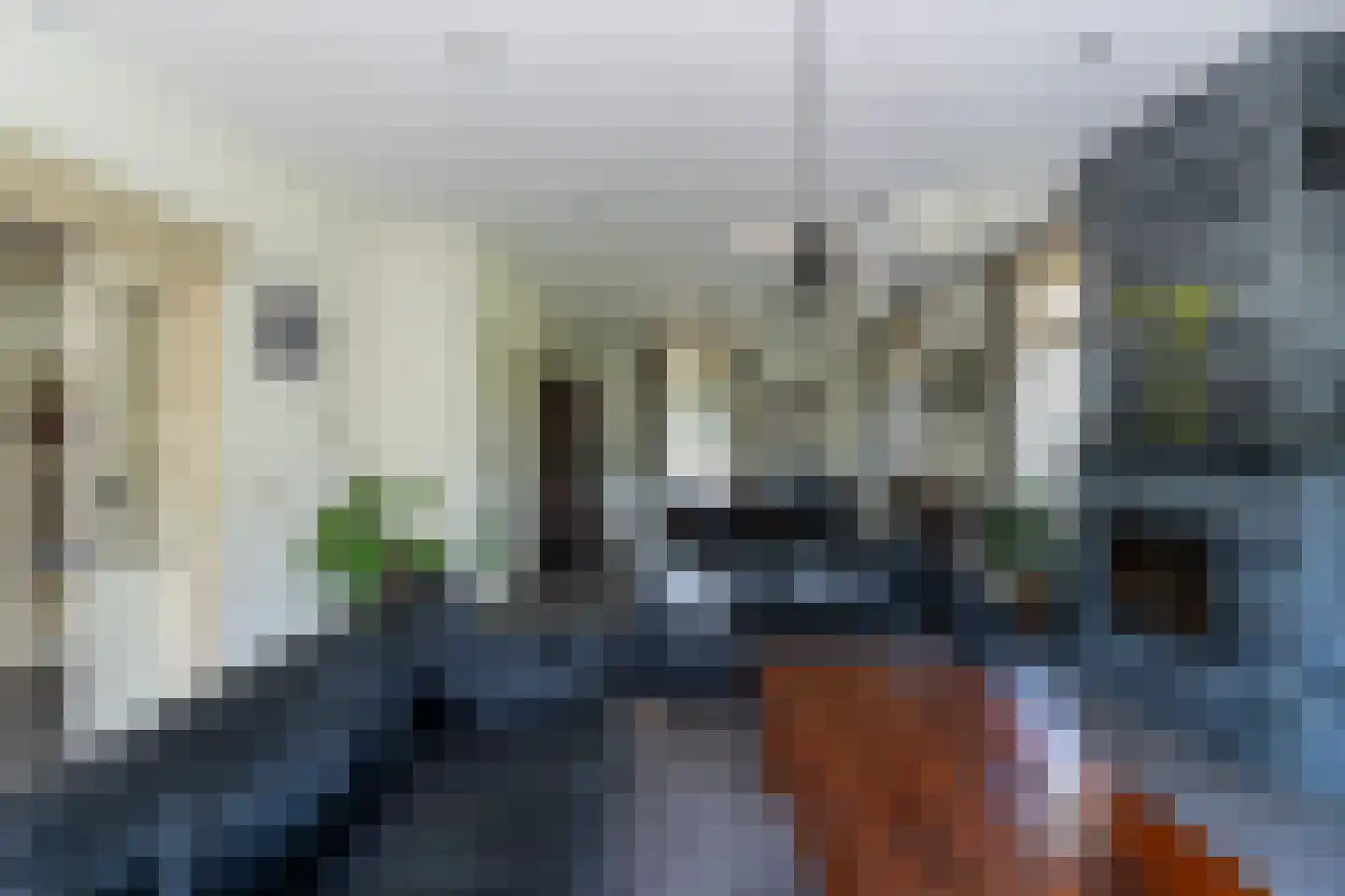 Crommentuijnstraat 51 Meterik thumbnail 39