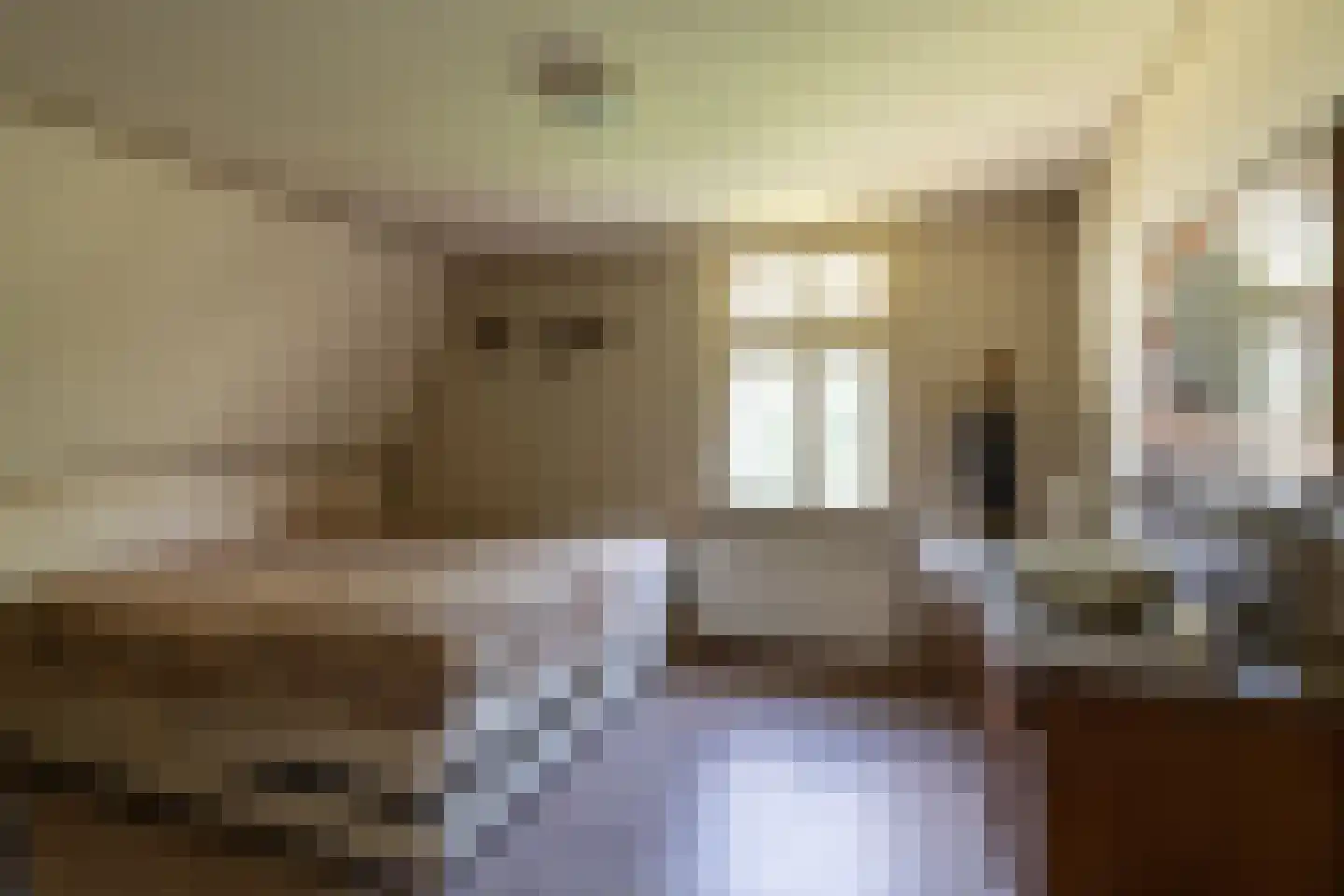 Crommentuijnstraat 51 Meterik thumbnail 44