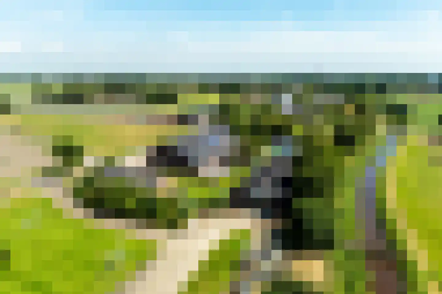Crommentuijnstraat 51 Meterik thumbnail 7