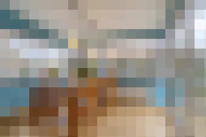 Cromvlietstraat 4 Rilland thumbnail 13