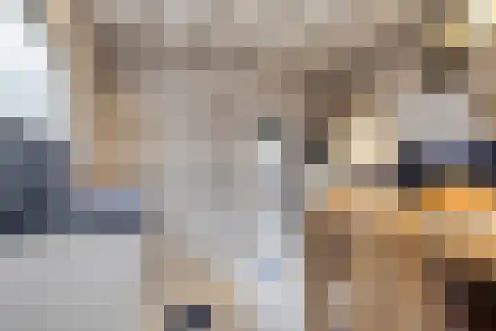 Cromvlietstraat 4 Rilland thumbnail 17