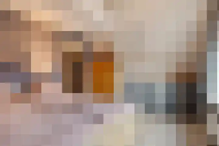 Cromvlietstraat 4 Rilland thumbnail 33