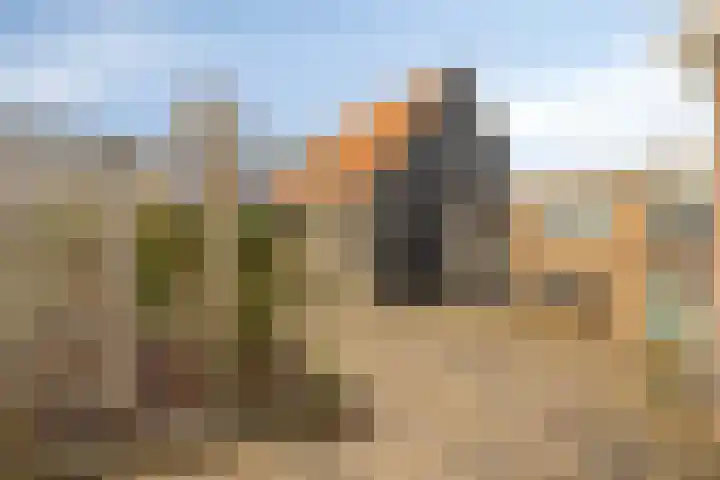 Cromvlietstraat 4 Rilland thumbnail 36