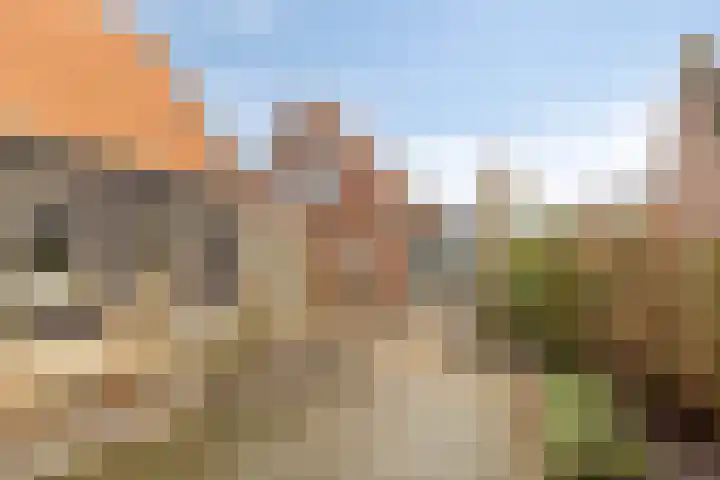Cromvlietstraat 4 Rilland thumbnail 39