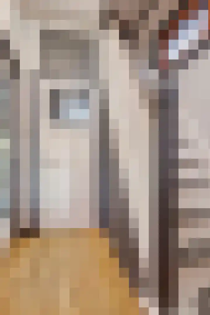 Cromvlietstraat 4 Rilland thumbnail 4