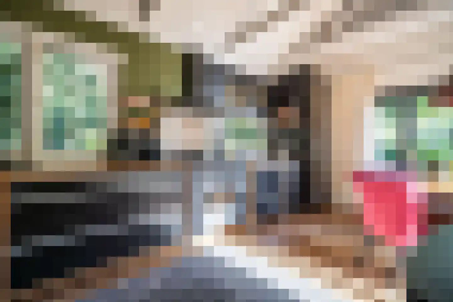 Cronesteyn 2 Leiden thumbnail 12