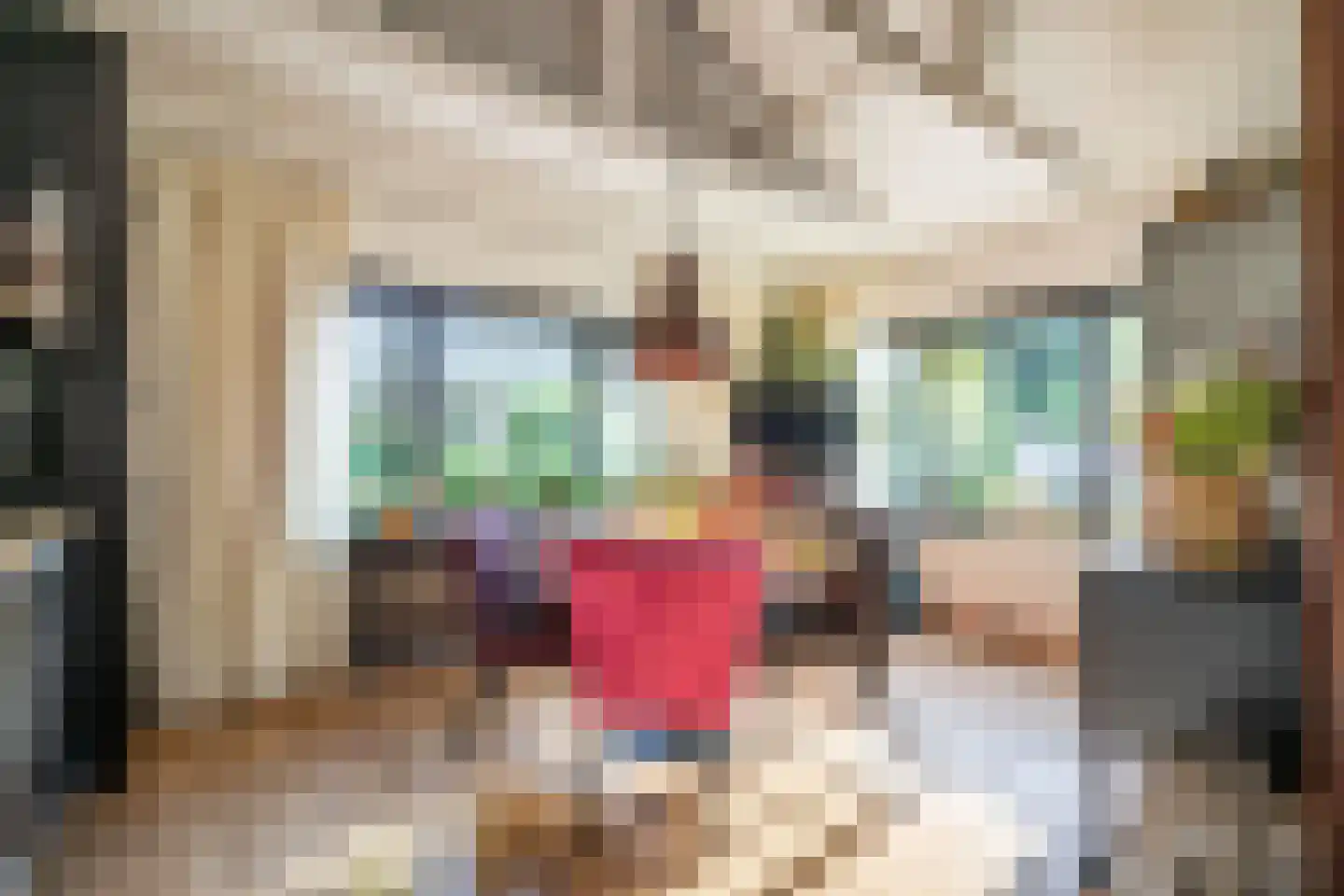 Cronesteyn 2 Leiden thumbnail 13