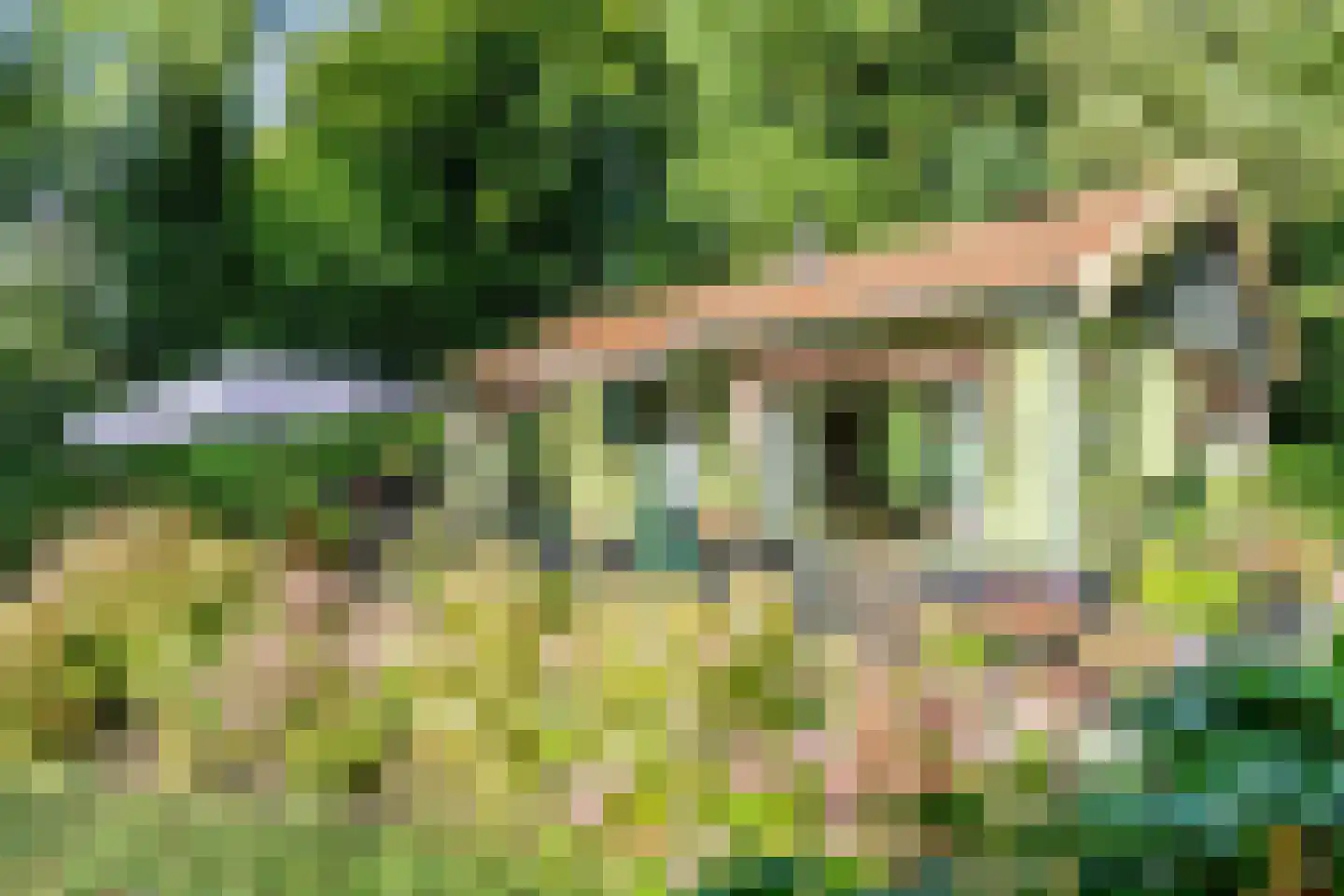 Cronesteyn 2 Leiden foto 2