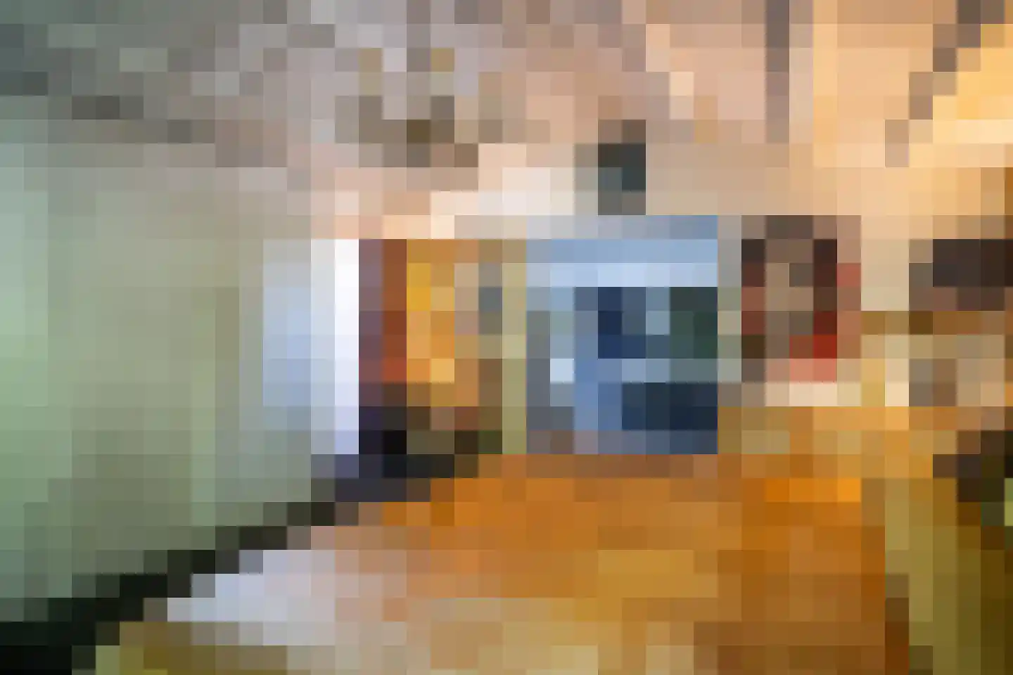 Cronesteyn 2 Leiden thumbnail 20