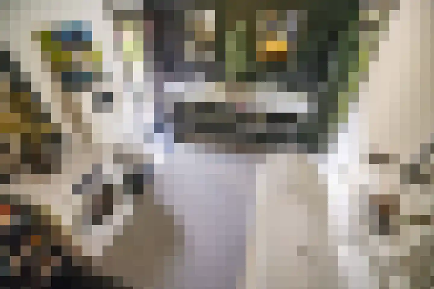 Cronesteyn 2 Leiden thumbnail 22