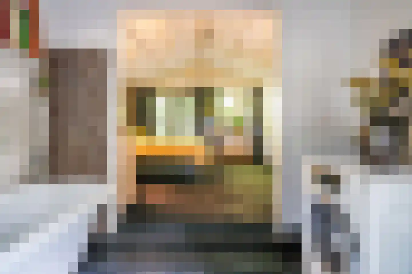 Cronesteyn 2 Leiden thumbnail 24