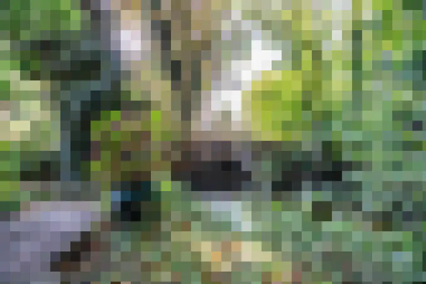 Cronesteyn 2 Leiden thumbnail 28
