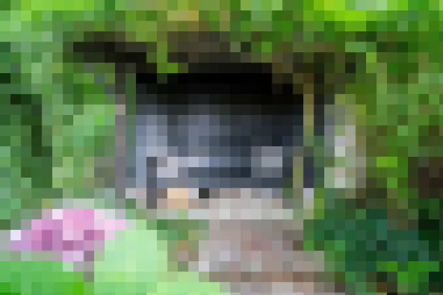 Cronesteyn 2 Leiden thumbnail 29