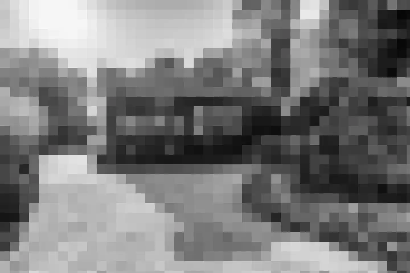 Cronesteyn 2 Leiden foto 3