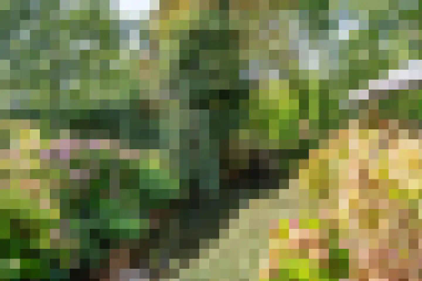 Cronesteyn 2 Leiden thumbnail 31