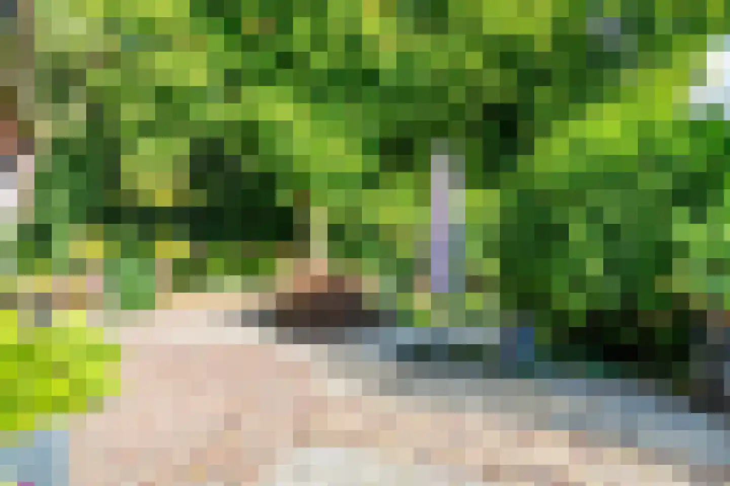 Cronesteyn 2 Leiden thumbnail 33