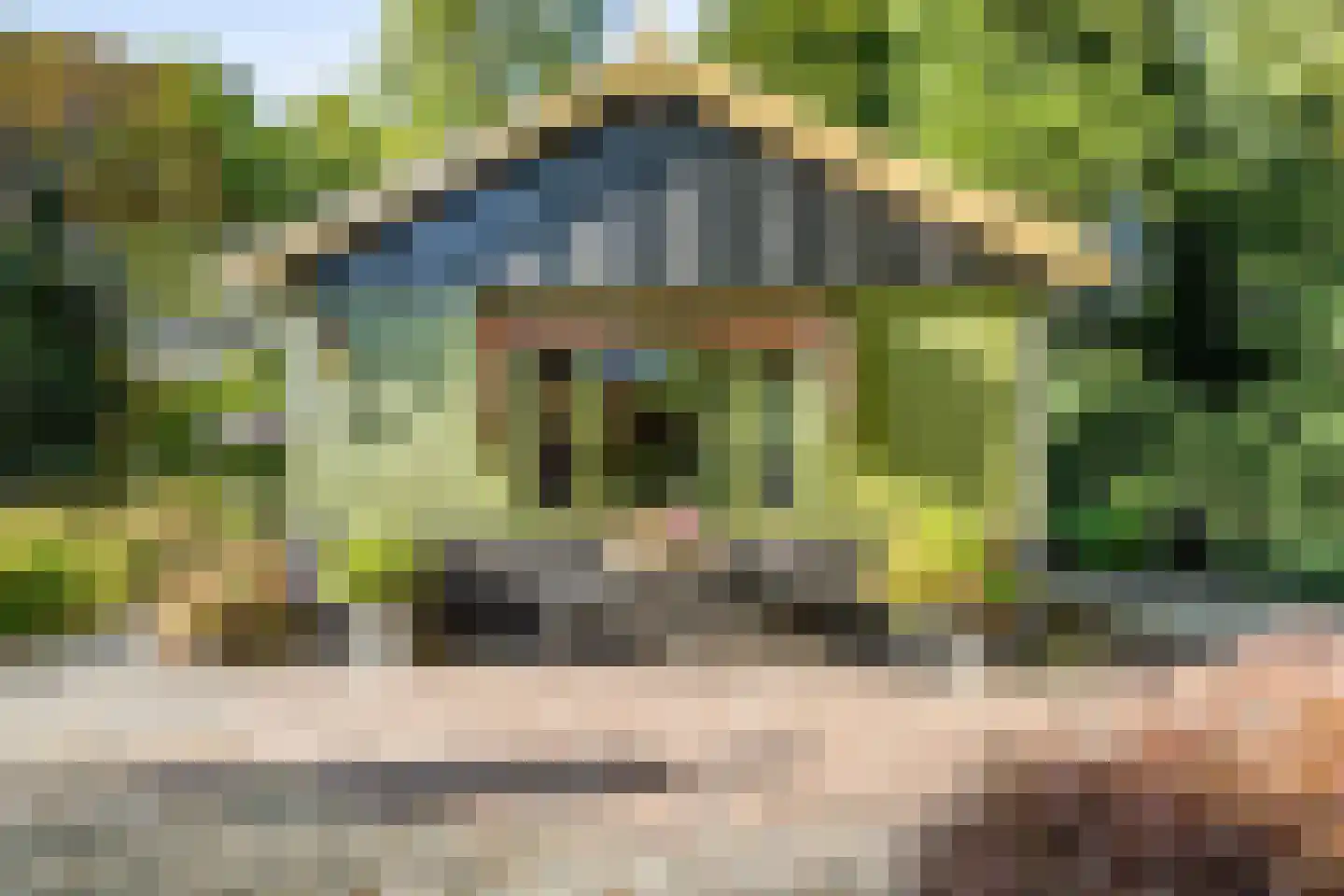 Cronesteyn 2 Leiden thumbnail 34