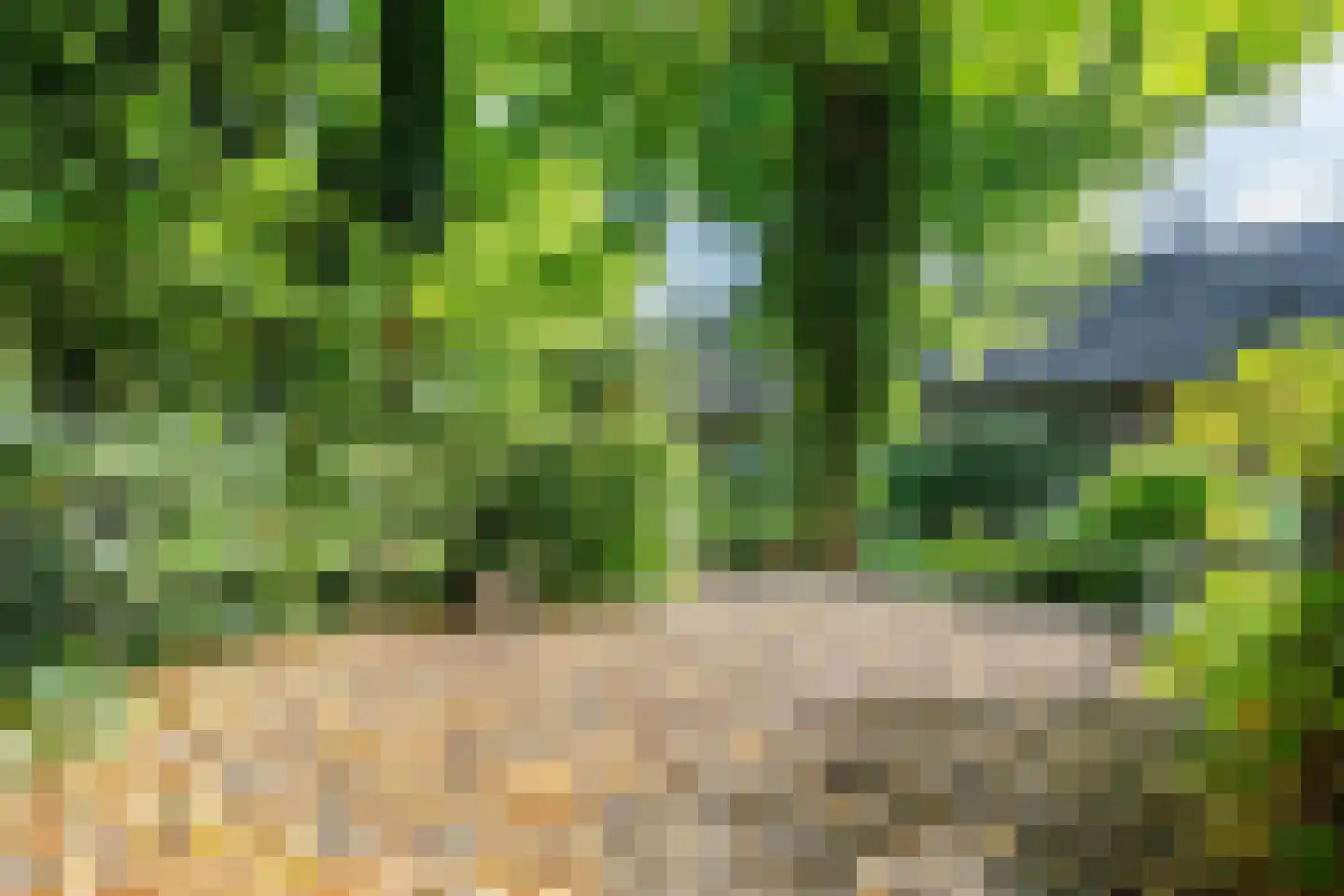 Cronesteyn 2 Leiden thumbnail 36