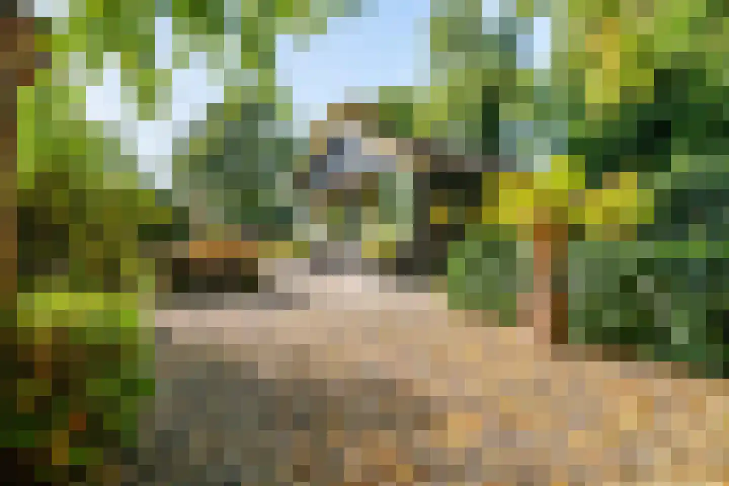 Cronesteyn 2 Leiden thumbnail 37