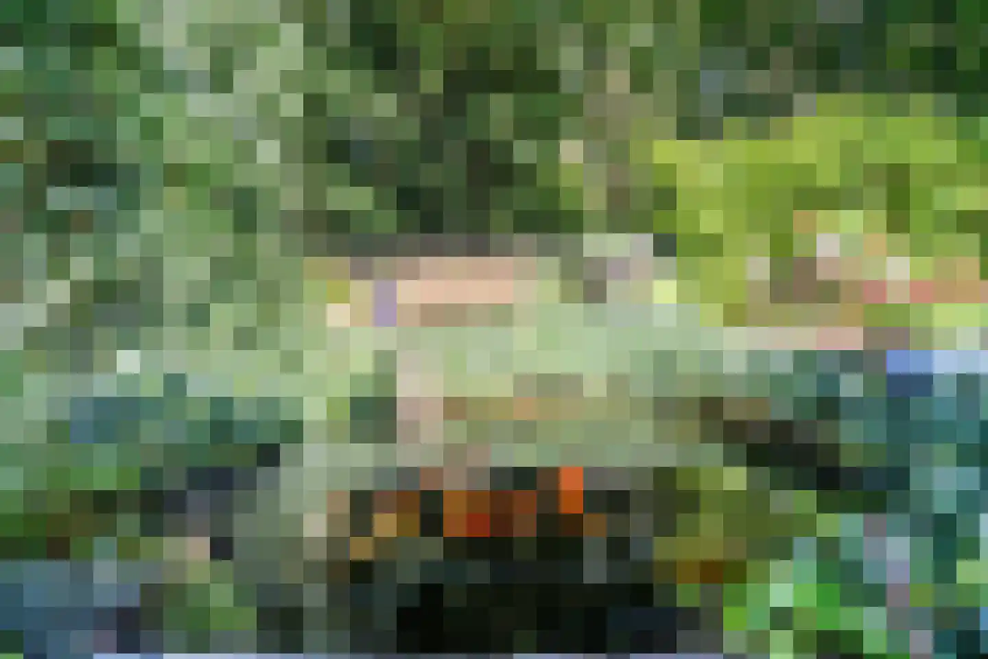 Cronesteyn 2 Leiden thumbnail 38