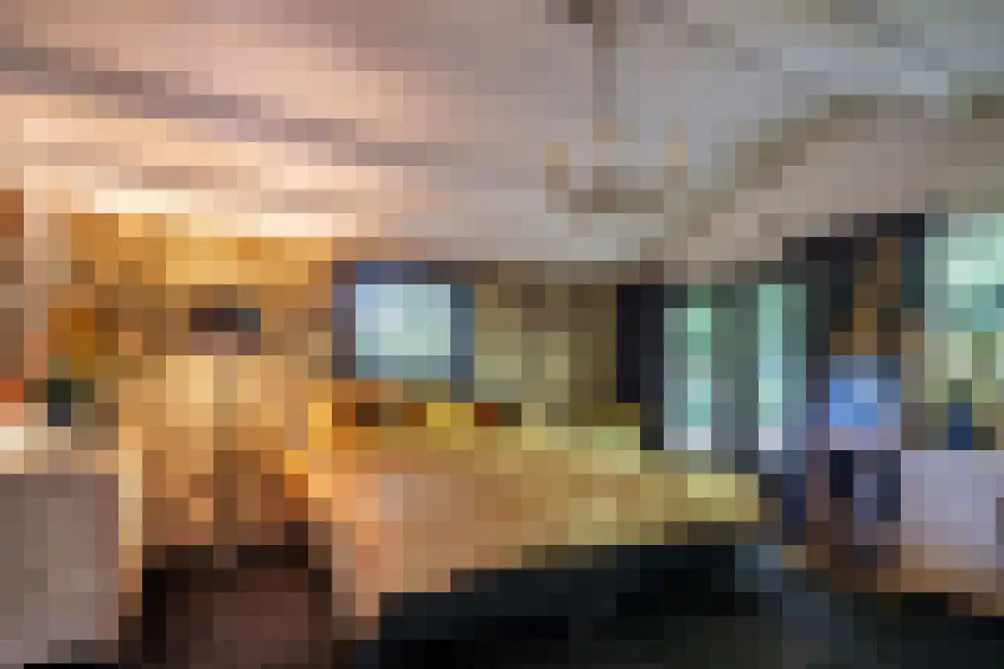 Cronesteyn 2 Leiden thumbnail 40