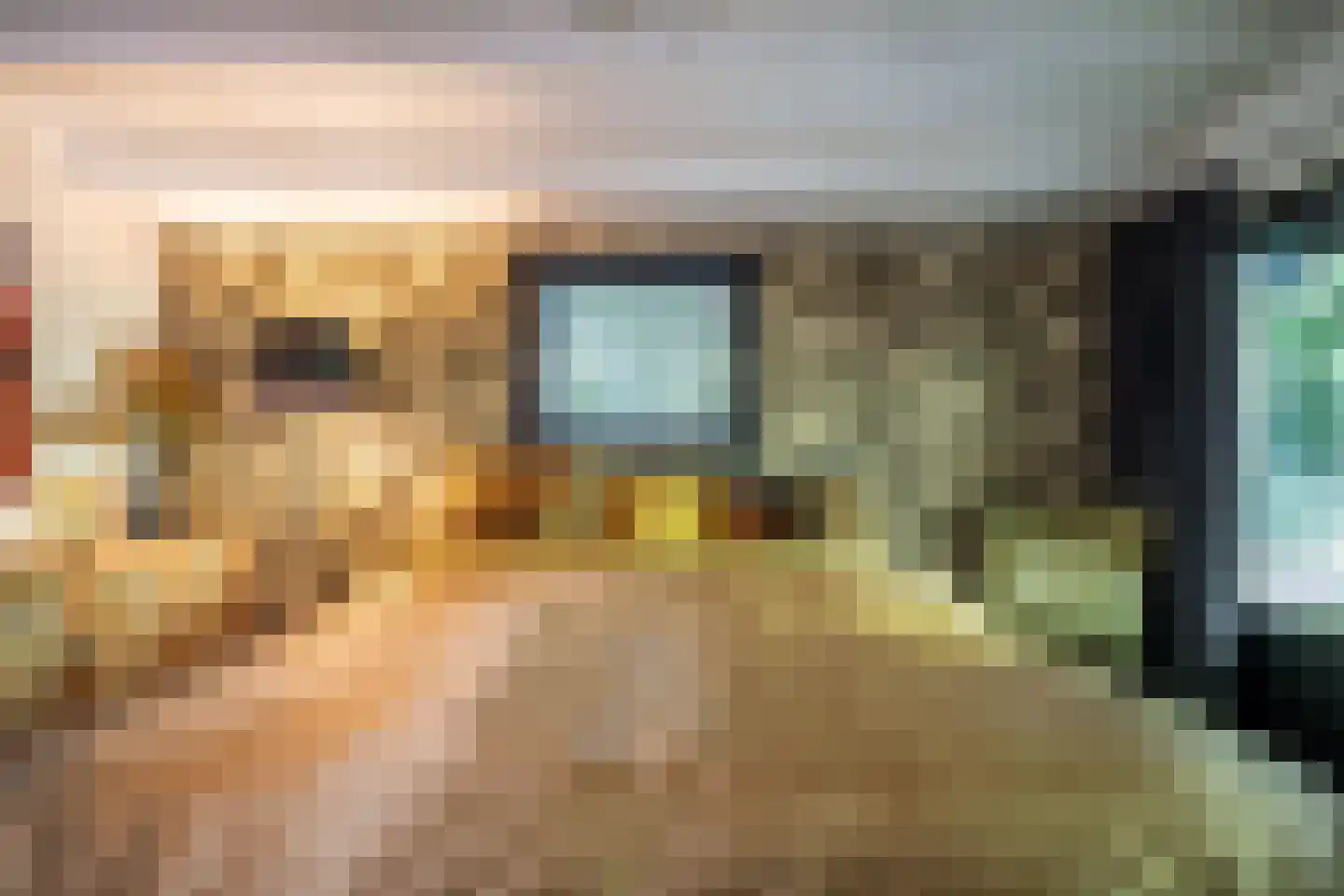 Cronesteyn 2 Leiden thumbnail 41