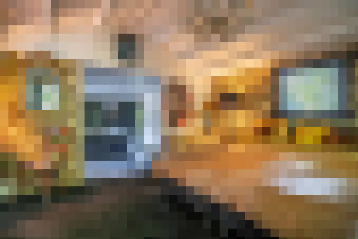 Cronesteyn 2 Leiden thumbnail 42