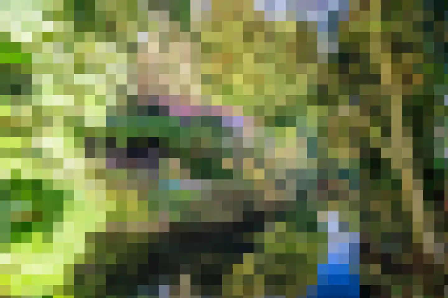 Cronesteyn 2 Leiden thumbnail 44