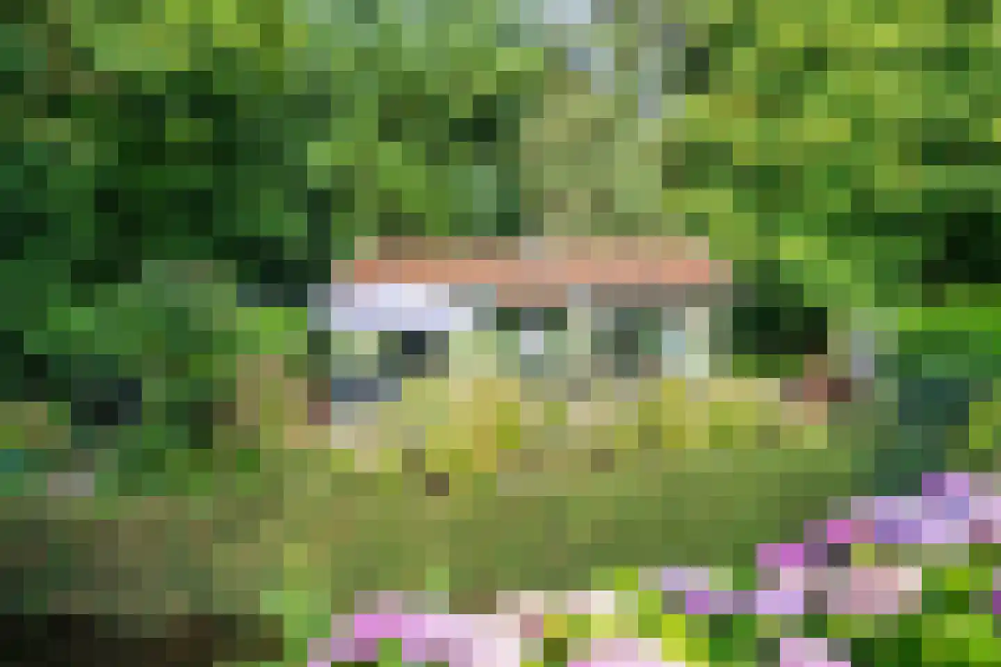 Cronesteyn 2 Leiden thumbnail 48