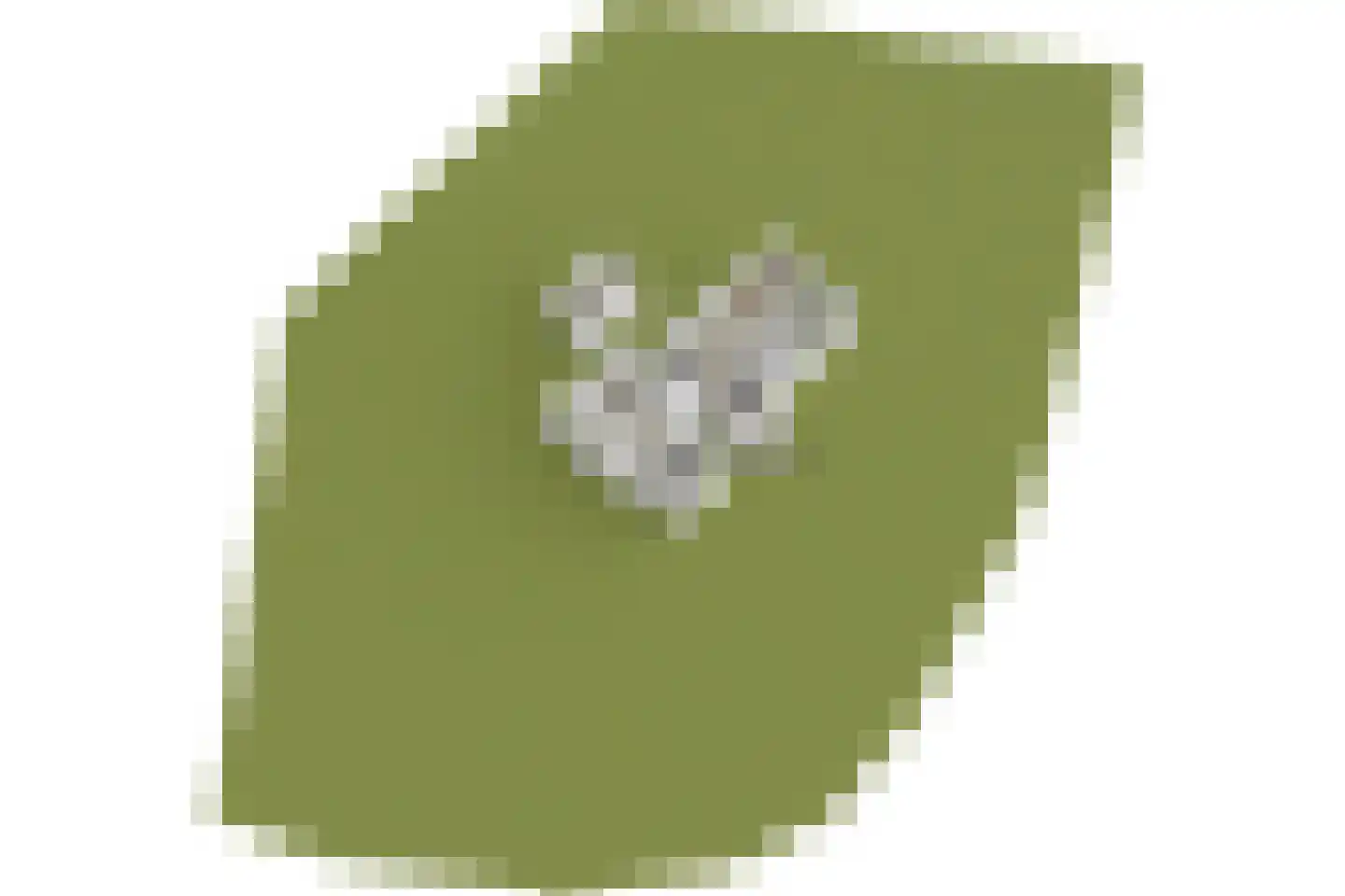 Cronesteyn 2 Leiden thumbnail 53