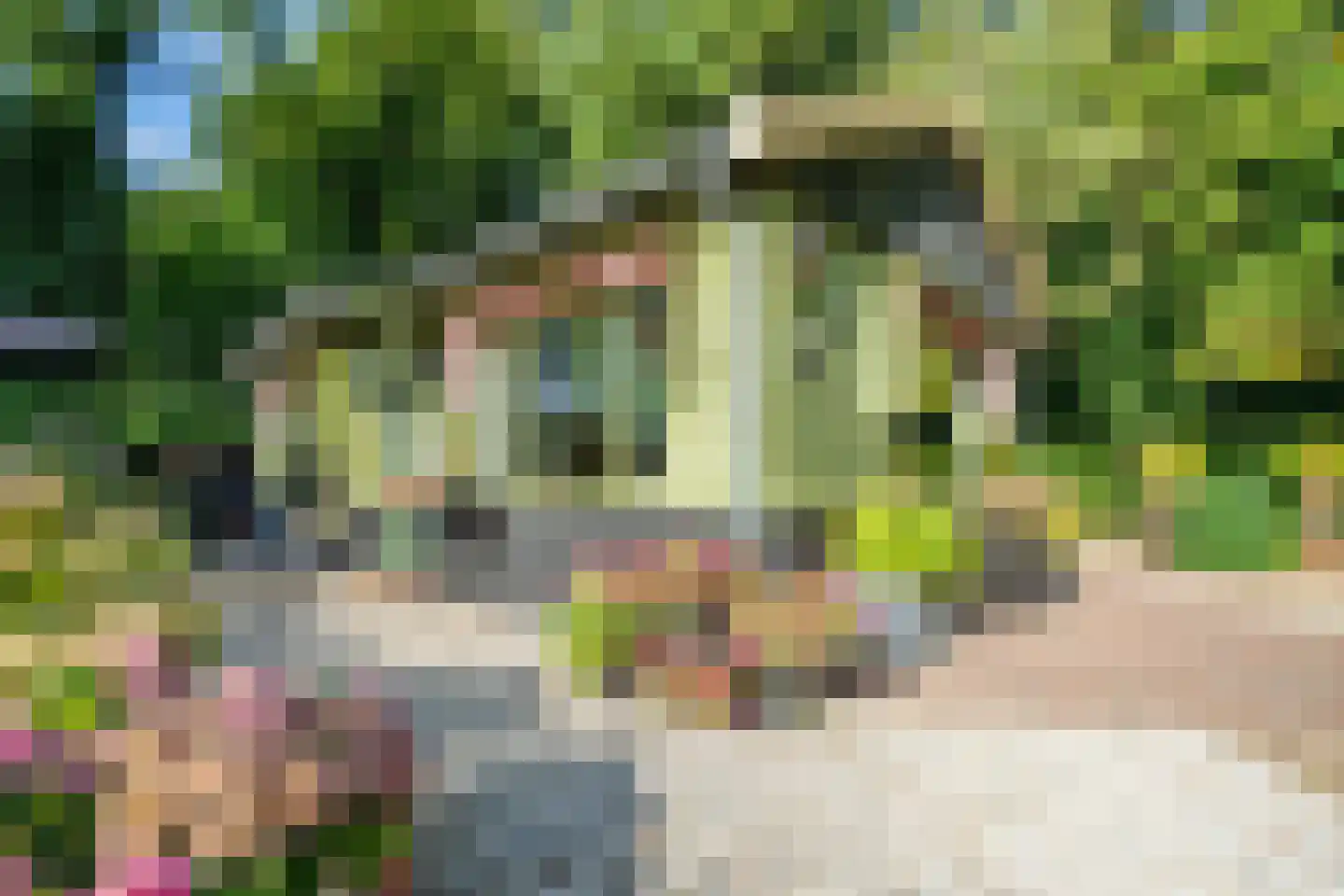 Cronesteyn 2 Leiden thumbnail 6
