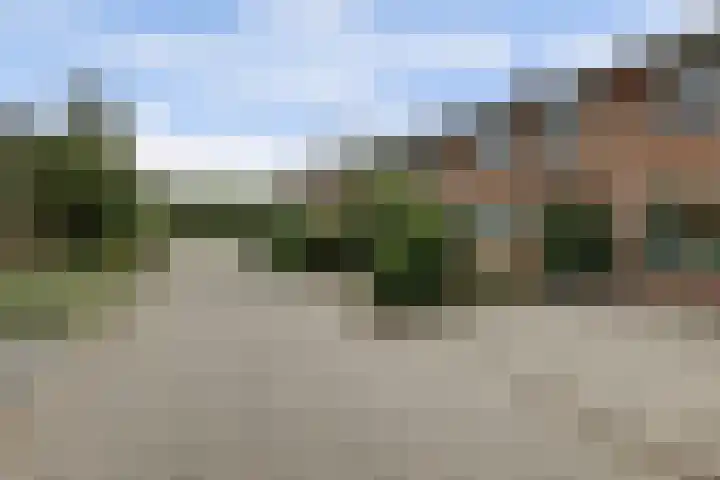 Cronjéstraat 121 Ermelo thumbnail 38