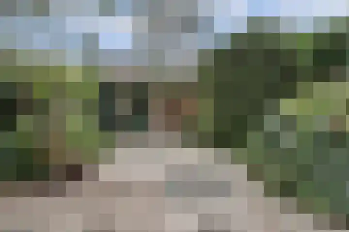 Cronjéstraat 121 Ermelo thumbnail 4