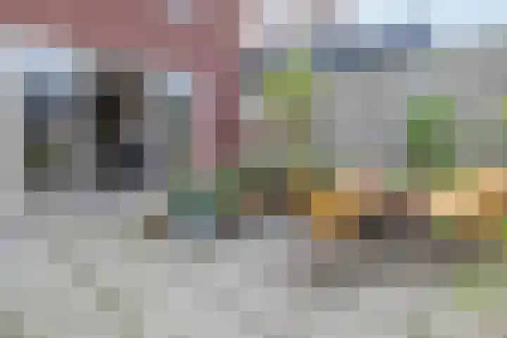 Cronjéstraat 36 Rotterdam thumbnail 56