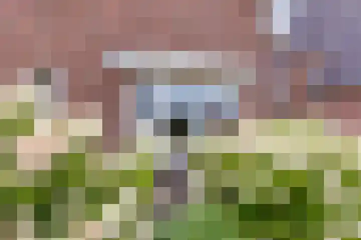 Cronjéstraat 4 Warffum thumbnail 30