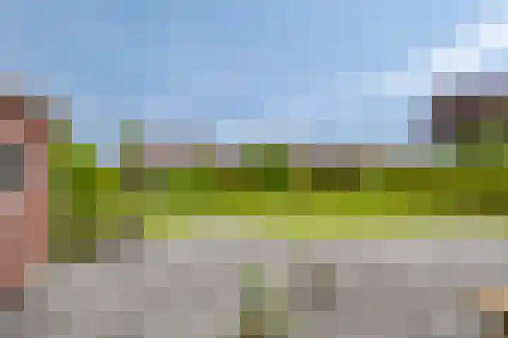 Cronjéstraat 4 Warffum thumbnail 32