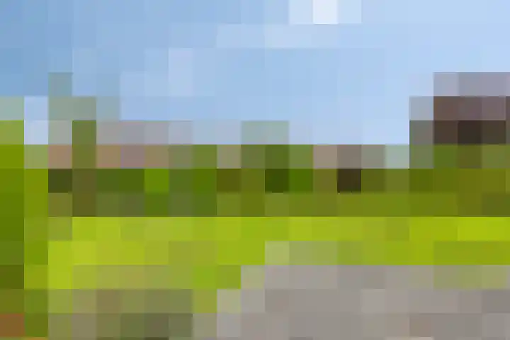 Cronjéstraat 4 Warffum thumbnail 36
