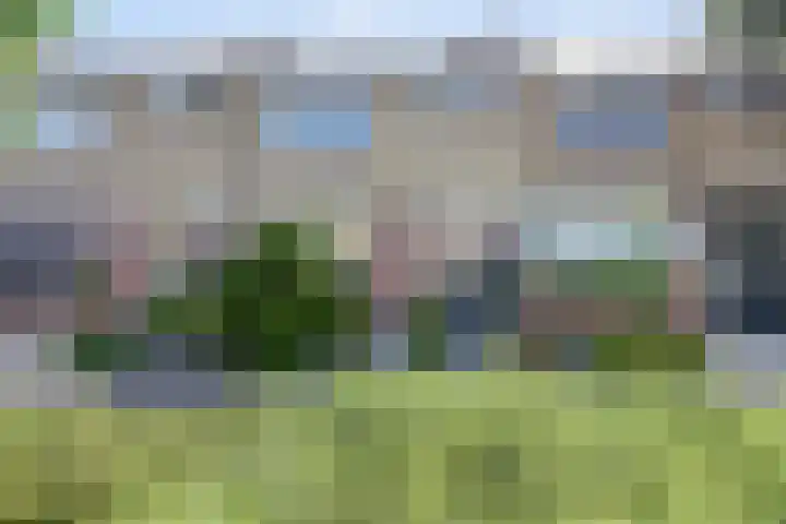 Cronjéstraat 63 Ermelo thumbnail 34