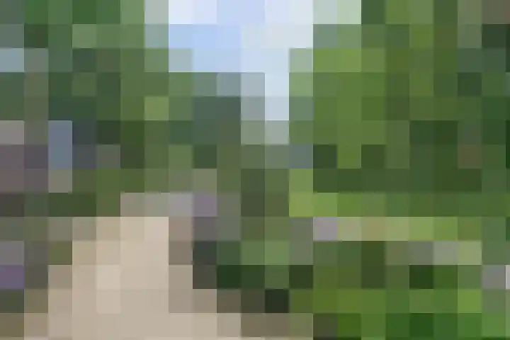 Cronjéstraat 63 Ermelo thumbnail 36