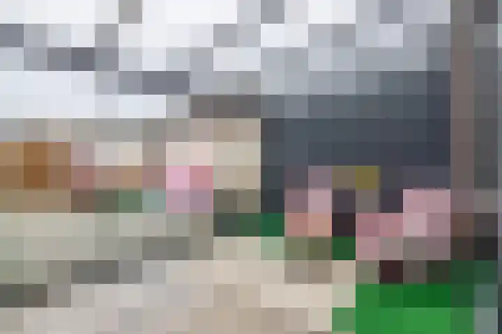Cronus 20 Hellevoetsluis thumbnail 15