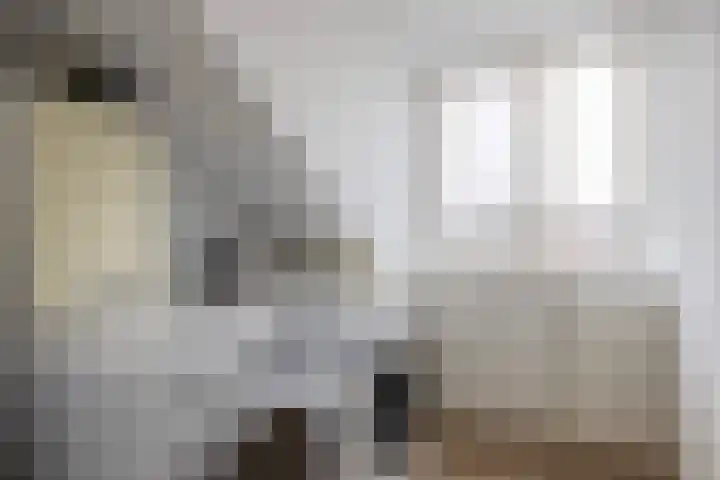 Cronus 20 Hellevoetsluis thumbnail 28