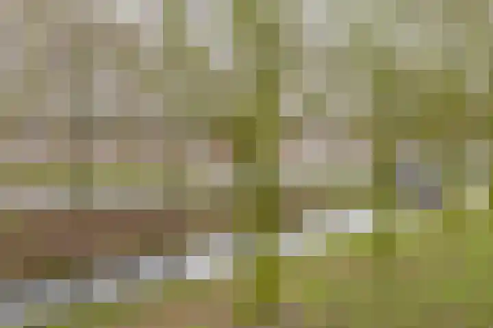 Cronus 20 Hellevoetsluis thumbnail 36