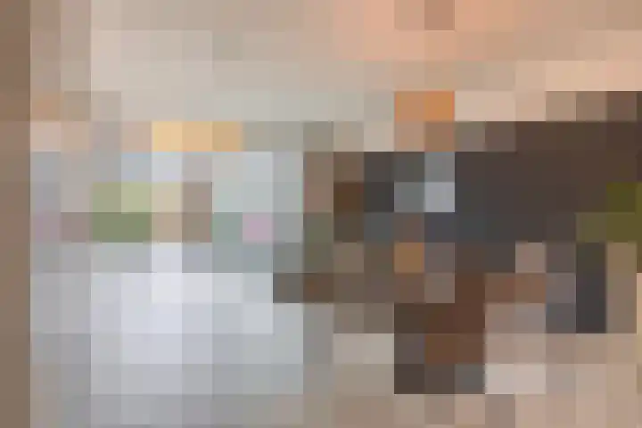 Cronus 20 Hellevoetsluis thumbnail 4