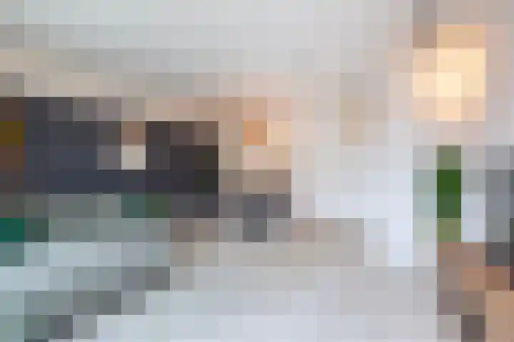 Cronus 20 Hellevoetsluis thumbnail 6